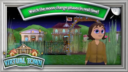 Virtual Town
