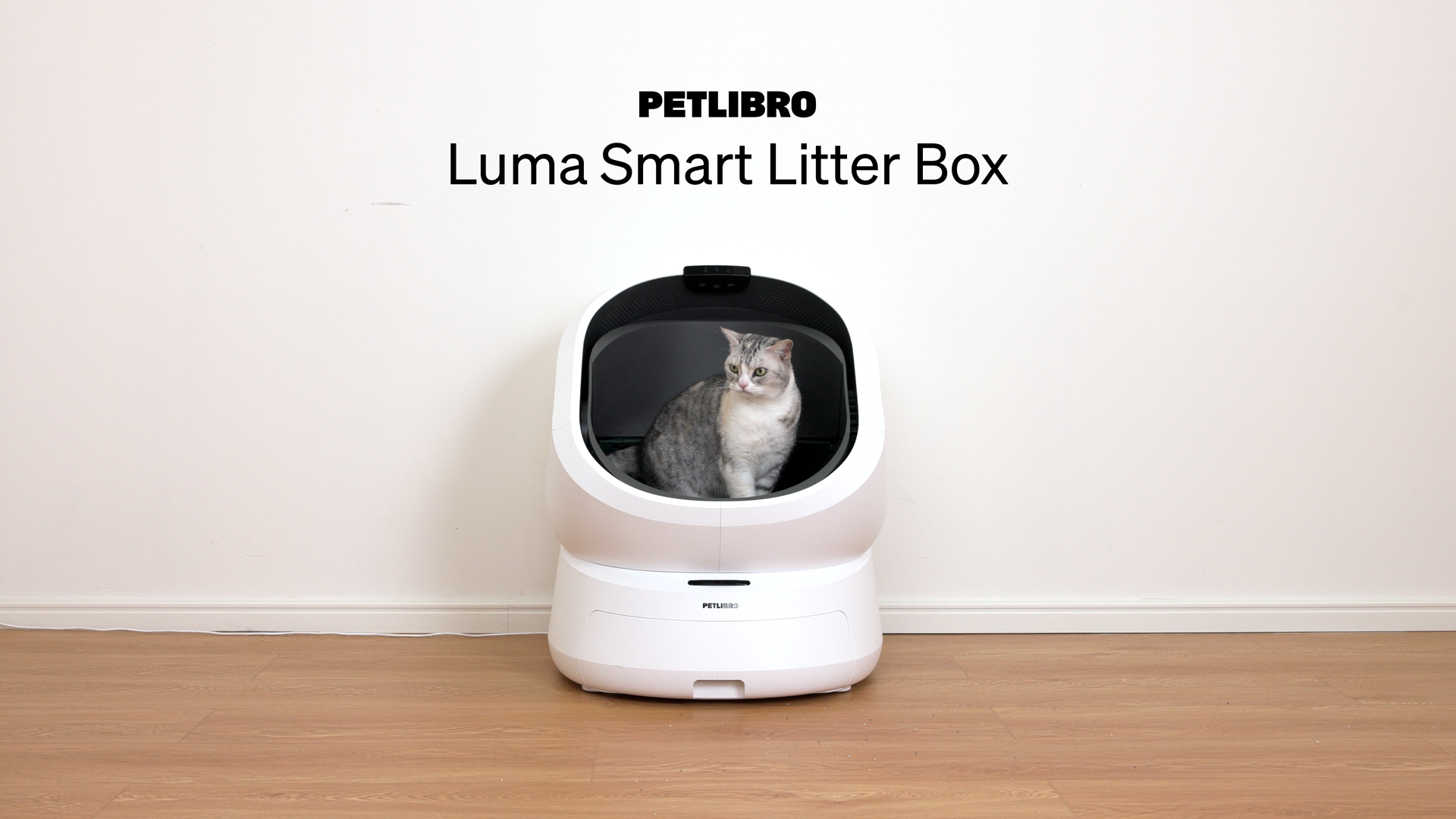 Product Photo 7