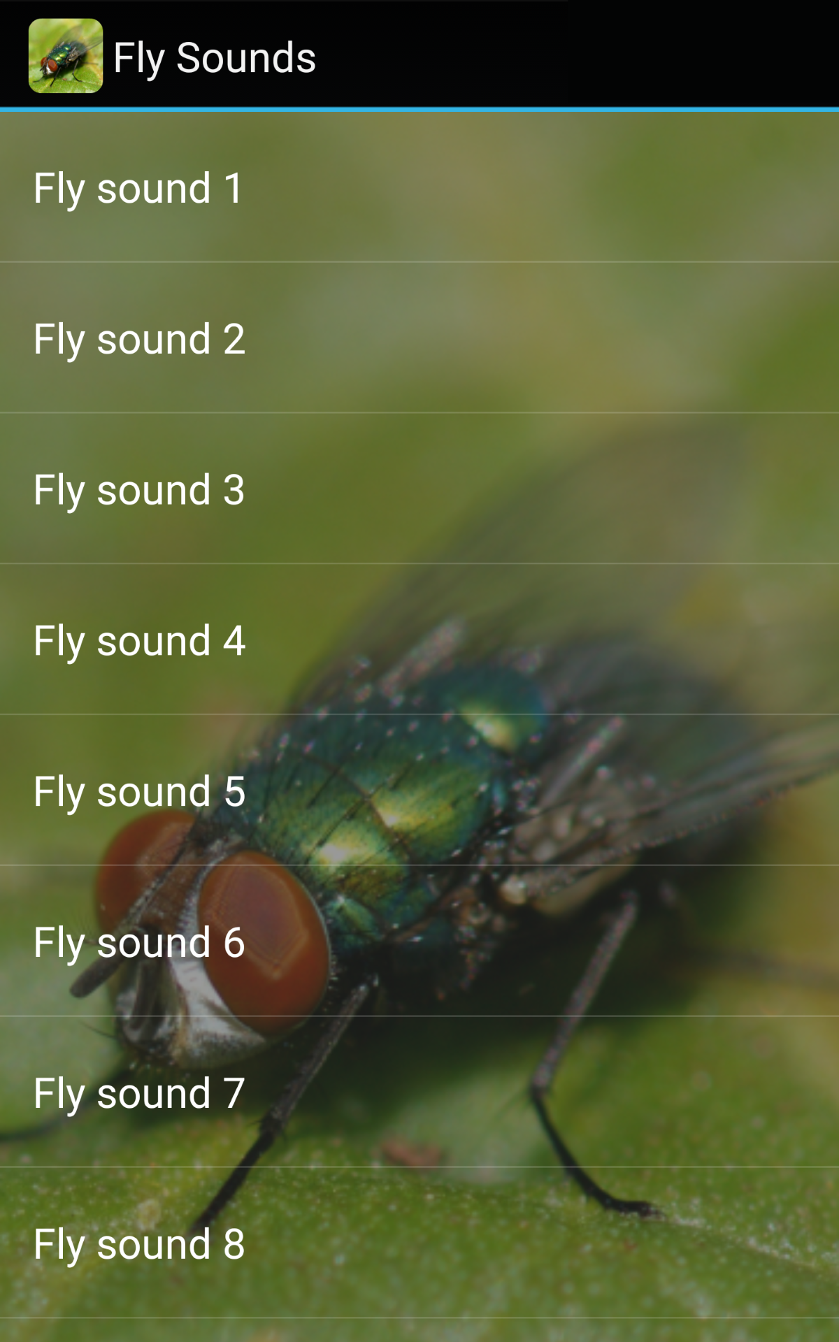 Fly Sounds - App on Amazon Appstore