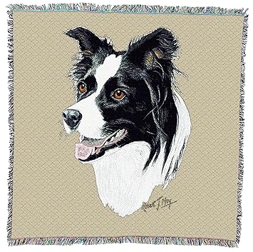 Pure Country 1123-LS Border Collie Pet Blanket, Canine on Beige Background, 54 by 54-Inch
