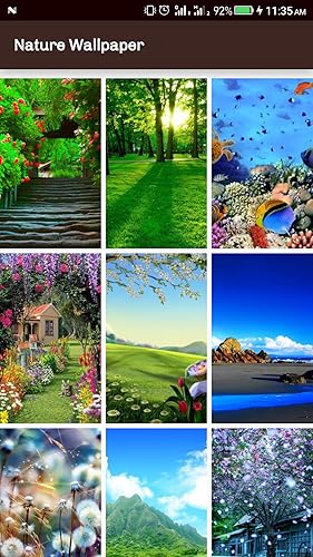 Nature Wallpaper