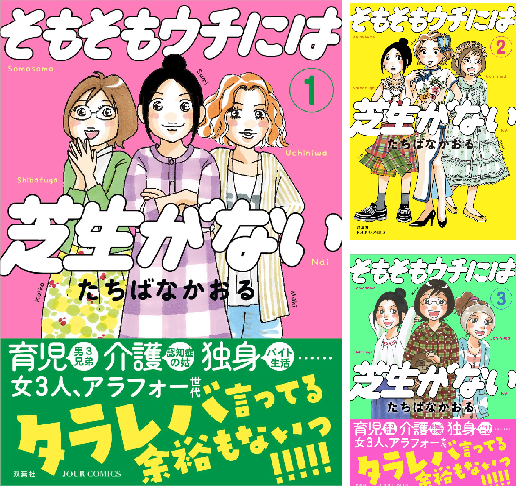 そもそも ウチ に は 芝生 が ない
