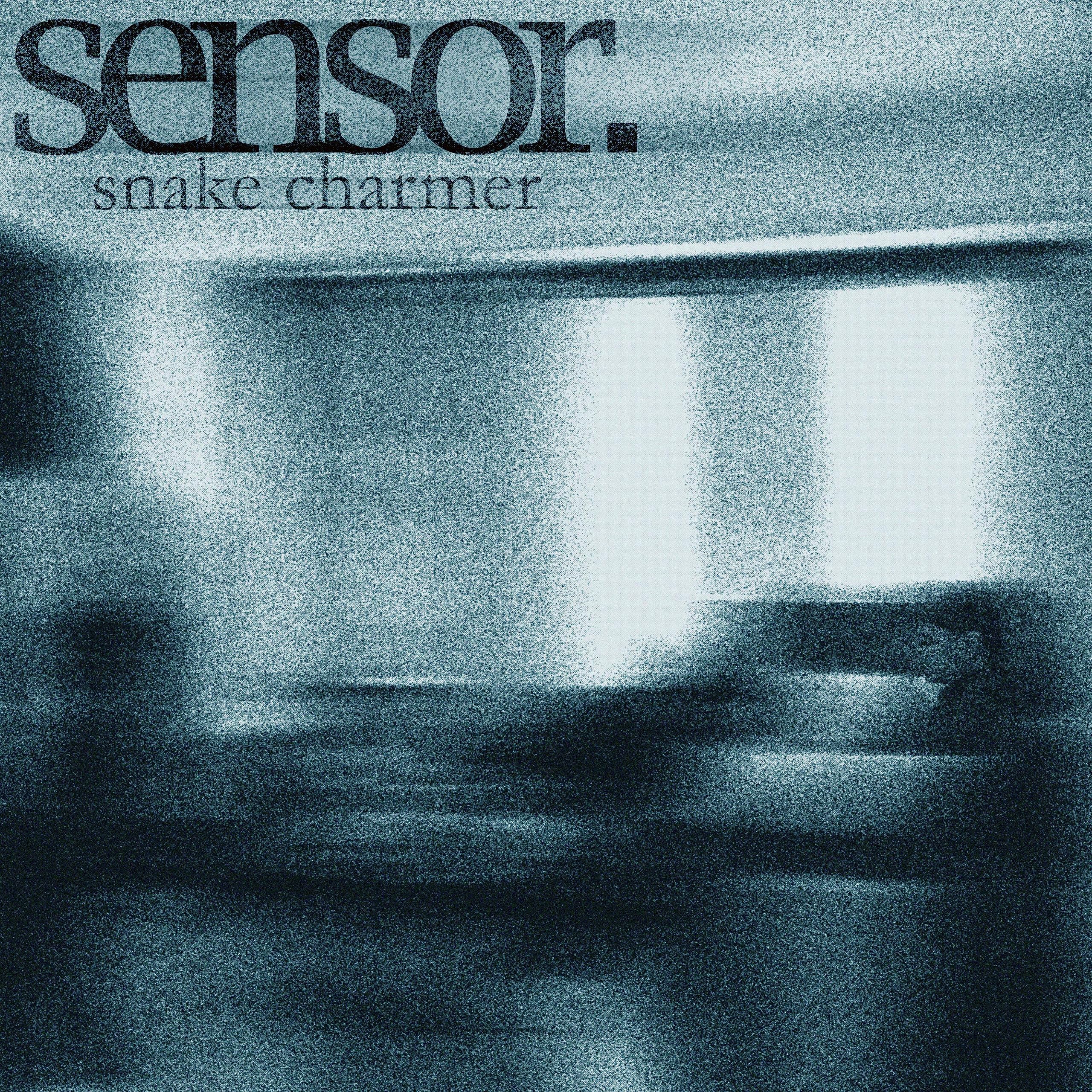 Sensor.