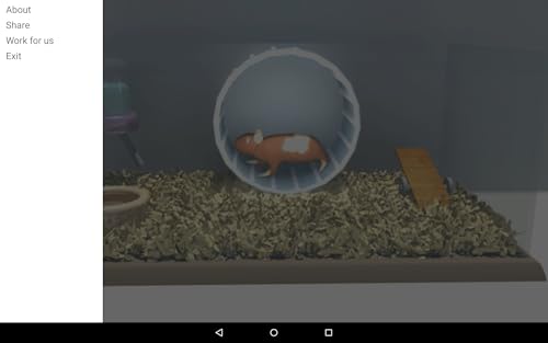 Racionalização Hamster
