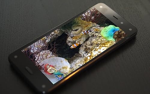 free clown fish aquarium HD - decore seu quarto com um lindo aquário em sua TV HDR 4K, TV 8K e dispo