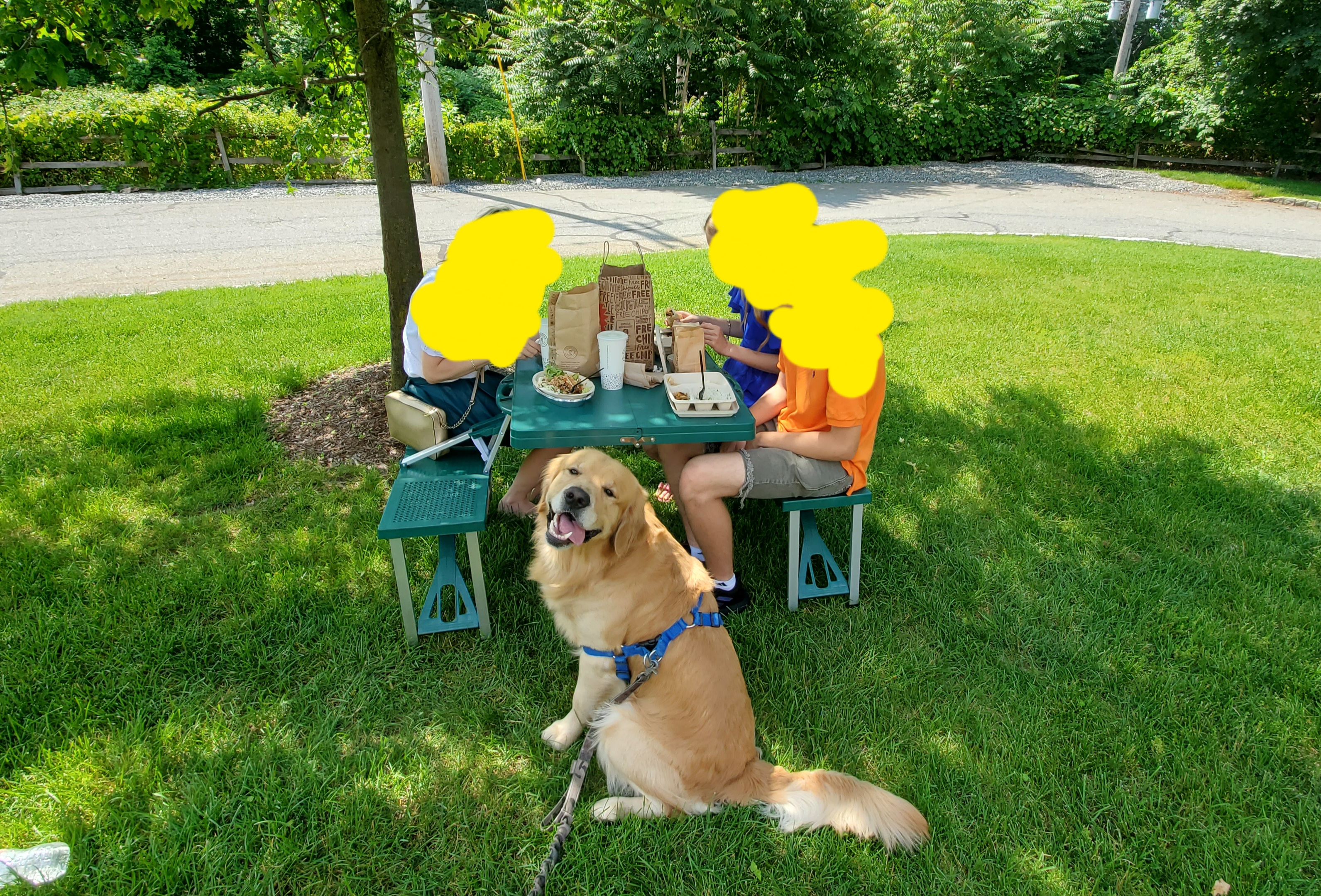 Customer Image