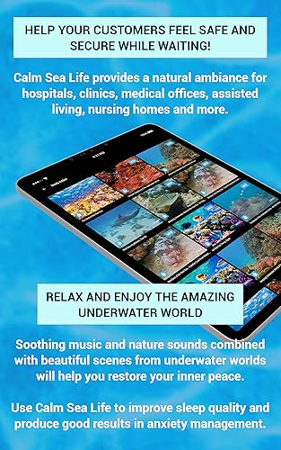 Calm Sea Life - Vídeos de Aquário e Relaxamento Subaquático