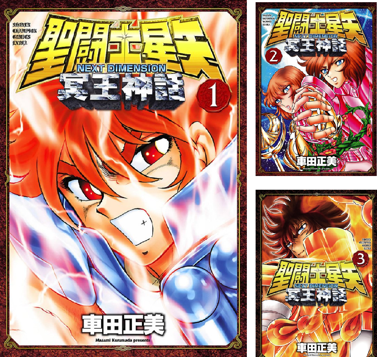 聖闘士星矢　冥王神話　16冊完結セット 聖闘士星矢 NEXT DIMENSION 冥王神話 16 冊セット 全巻 | 漫画全巻