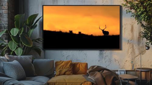 Ambiance safari africain - Paix des prairies sauvages de la savane – vue 6