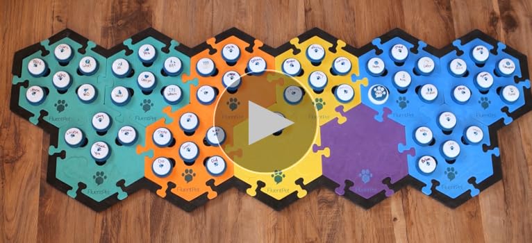 Amazon.com : FluentPet Speak Up Dog Buttons for