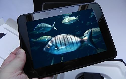 free rush aquarium HD - multidão de peixes grandes no aquário em sua TV HDR 4K, TV 8K e dispositivos