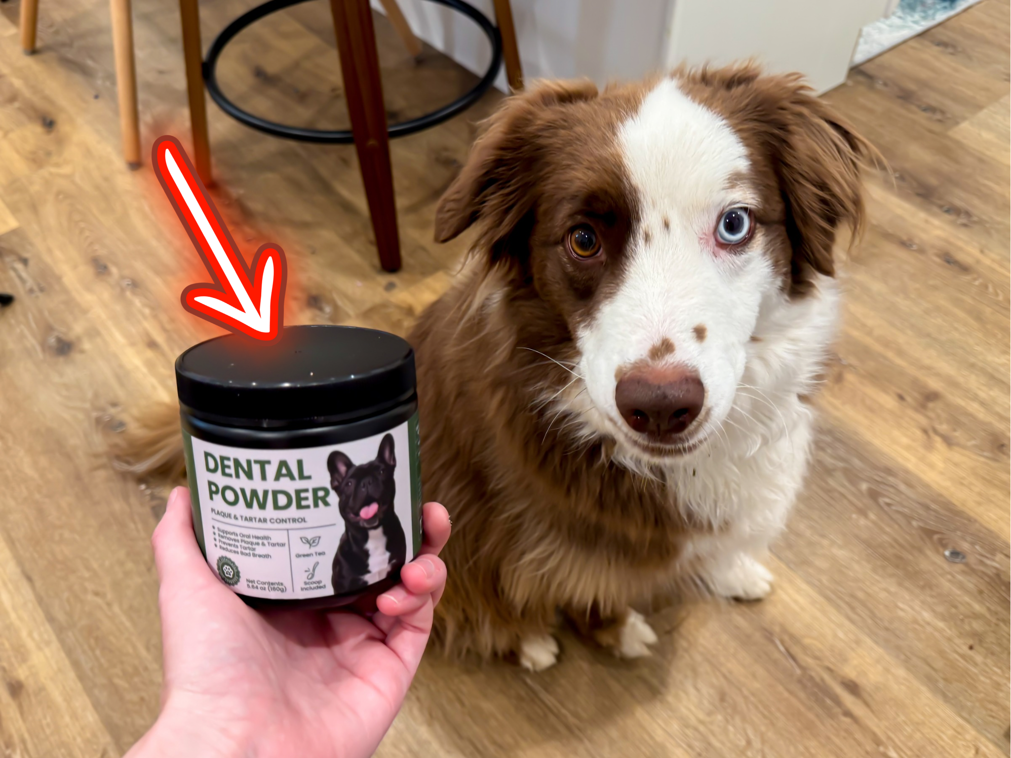Watch My dog tried this dental powder - CLOSE LOOK!! on Amazon Live