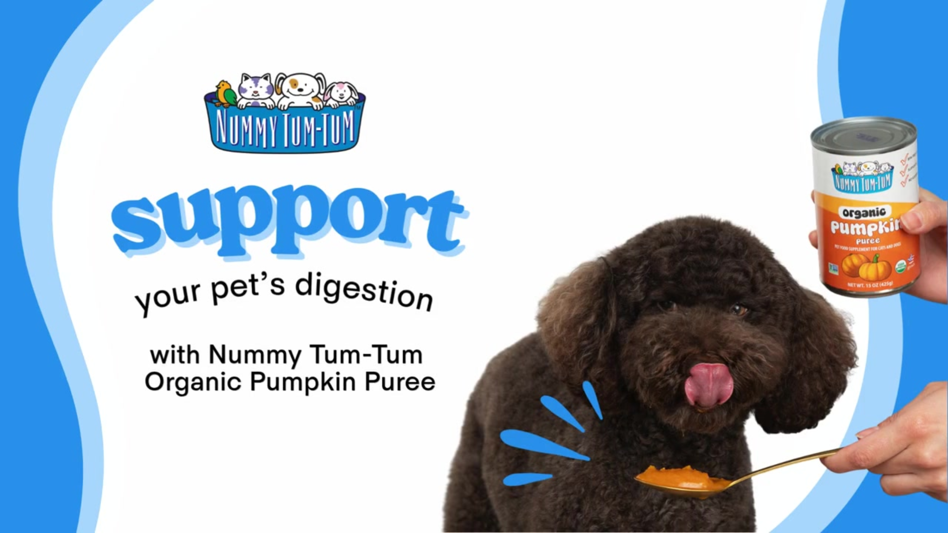 Nummy Tum Tum Pure Pumpkin For Pets, 15-Ounce Cans (Pack Of 12