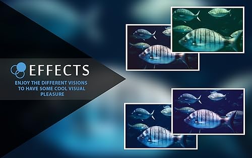 free rush aquarium HD - multidão de peixes grandes no aquário em sua TV HDR 4K, TV 8K e dispositivos