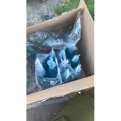 ubuy Turkmenistan