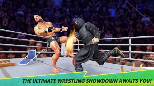 Wrestle Brawl – vue 7