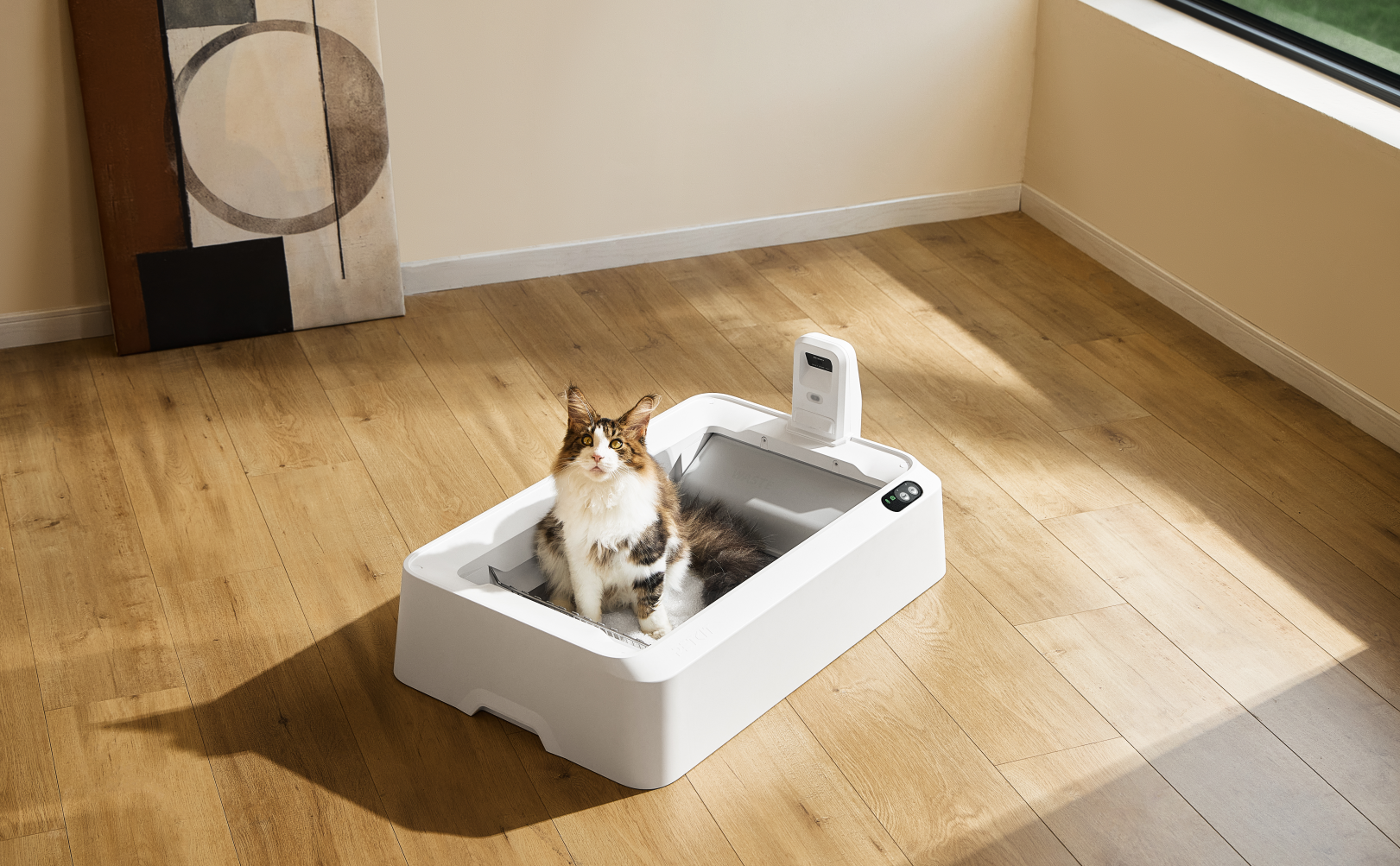 Petree Cube - Zelfreinigende Kattenbak - Automatisch - Bedienen Via De App Katten Anti Geur 60 X 52 X 64 Cm