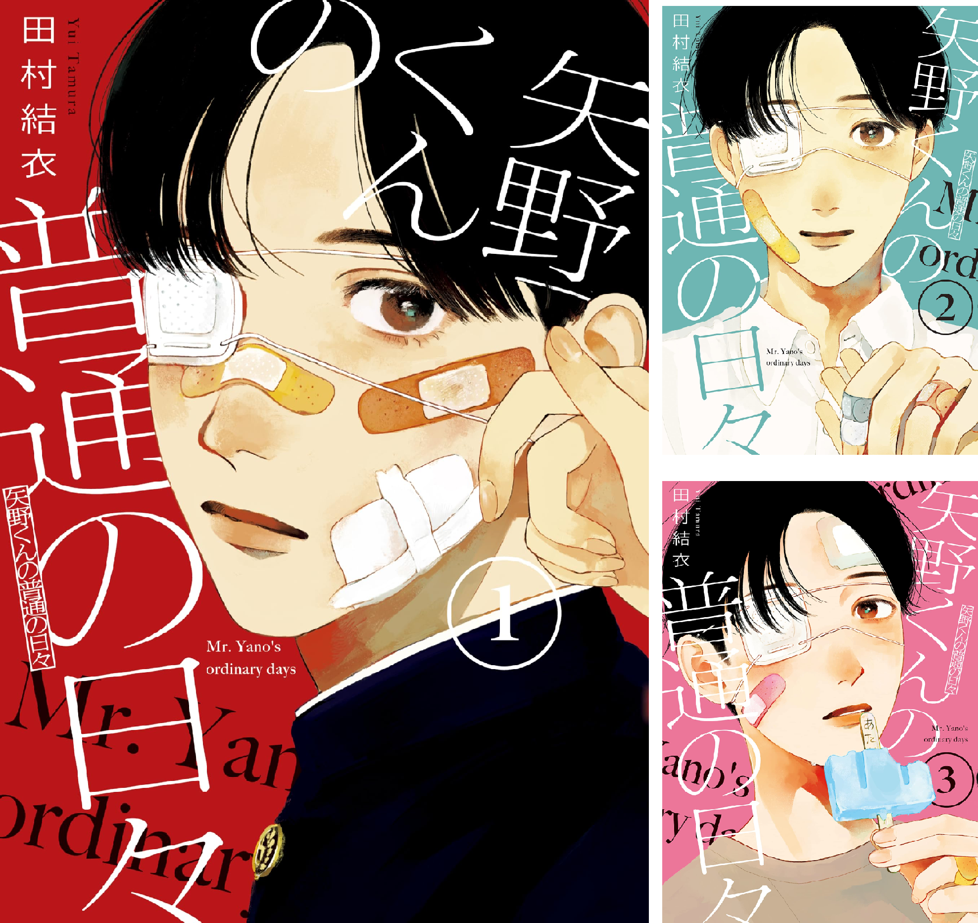 矢野くんの普通の日々 12巻セット 矢野くんの普通の日々 全巻セット 1-12巻 最新刊 田村結衣 八文字屋