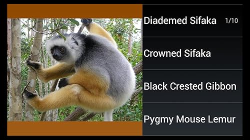 Macaco espécie Trivia Quiz