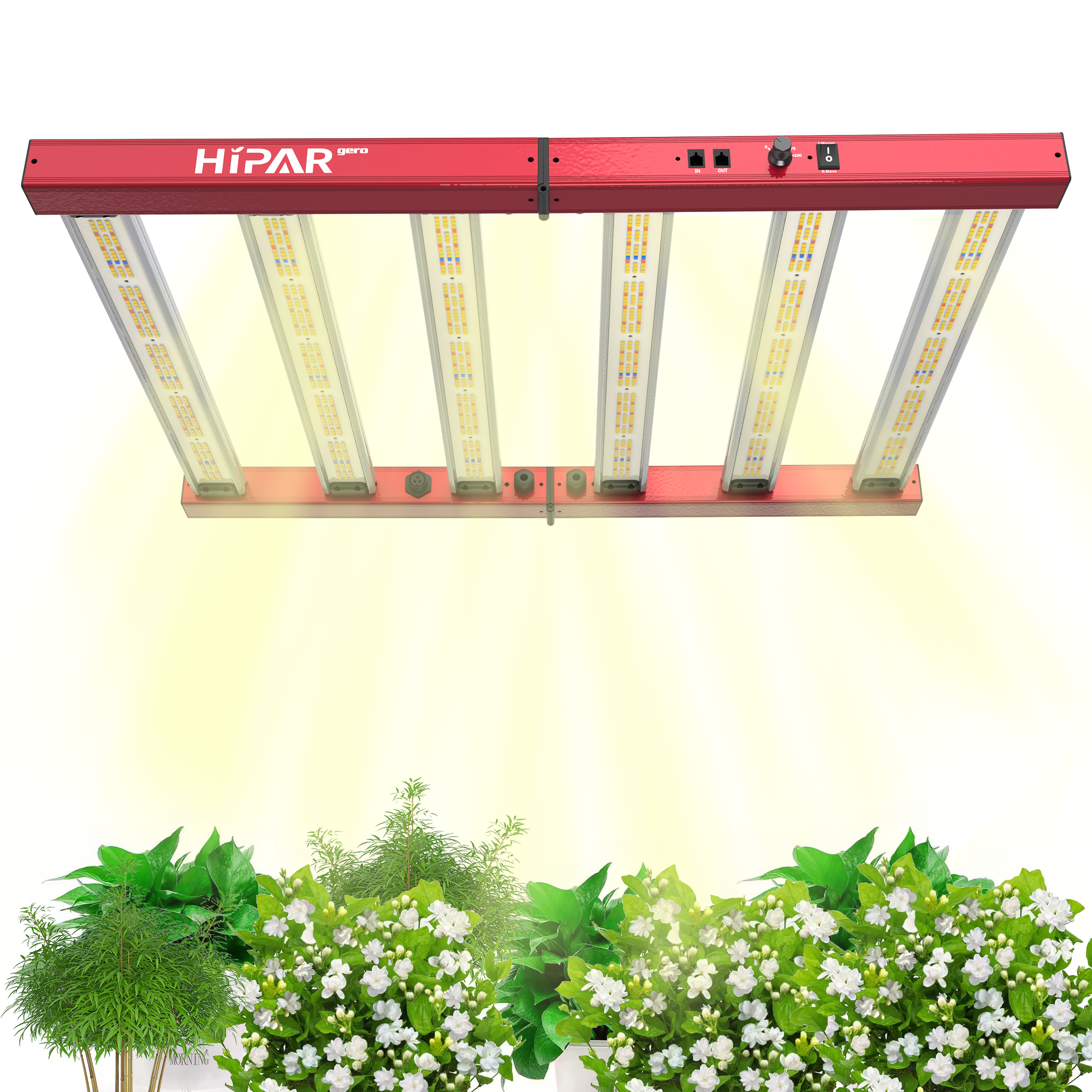 Amazon.com: HIPARGERO: LED Grow Lights