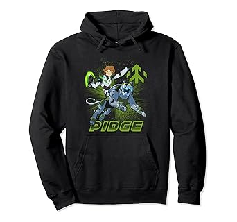 voltron paladin hoodie