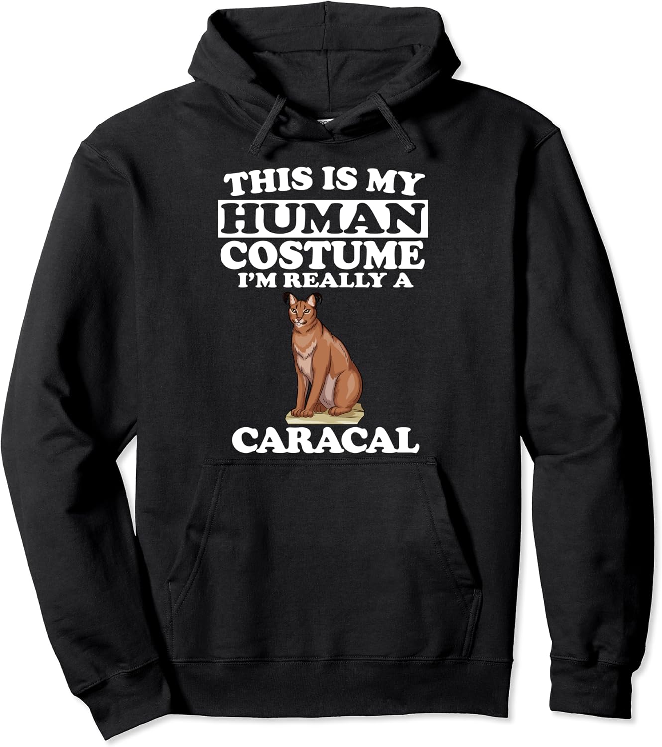 The Surprising Truth About Caracal Attacks And Human Fatality - vffceji