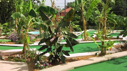 San Antonio Business Guide TV Channel