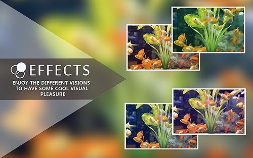 aquário feliz grátis HD - decore seu quarto com um lindo aquário de vida marinha na sua TV HDR 4K, T