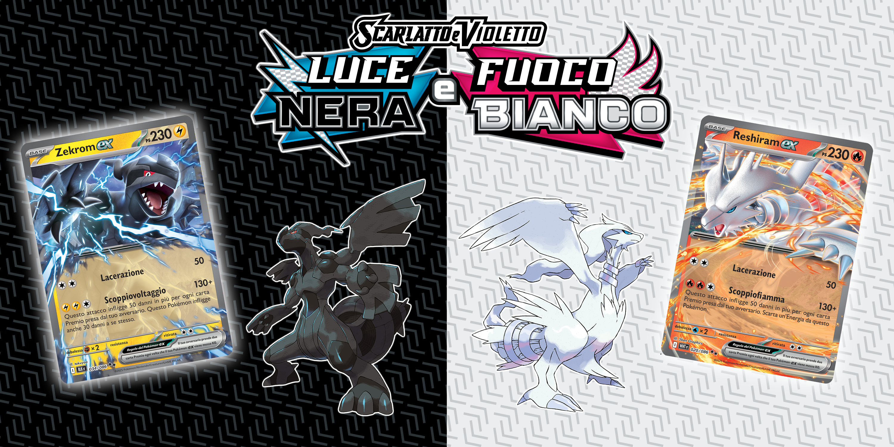 Collezione illustrazione Victini - Unima del GCC Pokémon