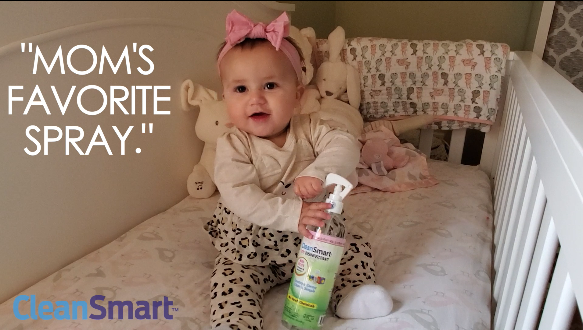 Amazon.com : CleanSmart Nursery & High Chair Cleaner, 23 Ounce