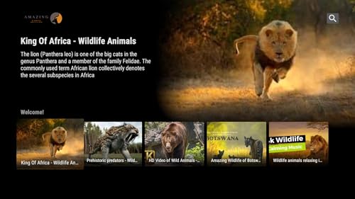 Amazing Wildlife Adventures