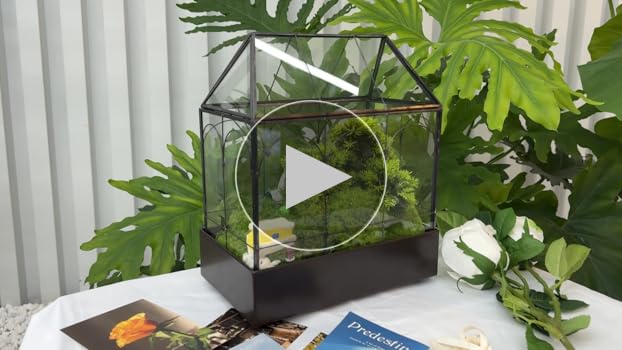 knsk711様 GLASS TERRARIUM 6030(付属あり) knsk711様 GLASS TERRARIUM 6030(付属あり) Handmade 8x12