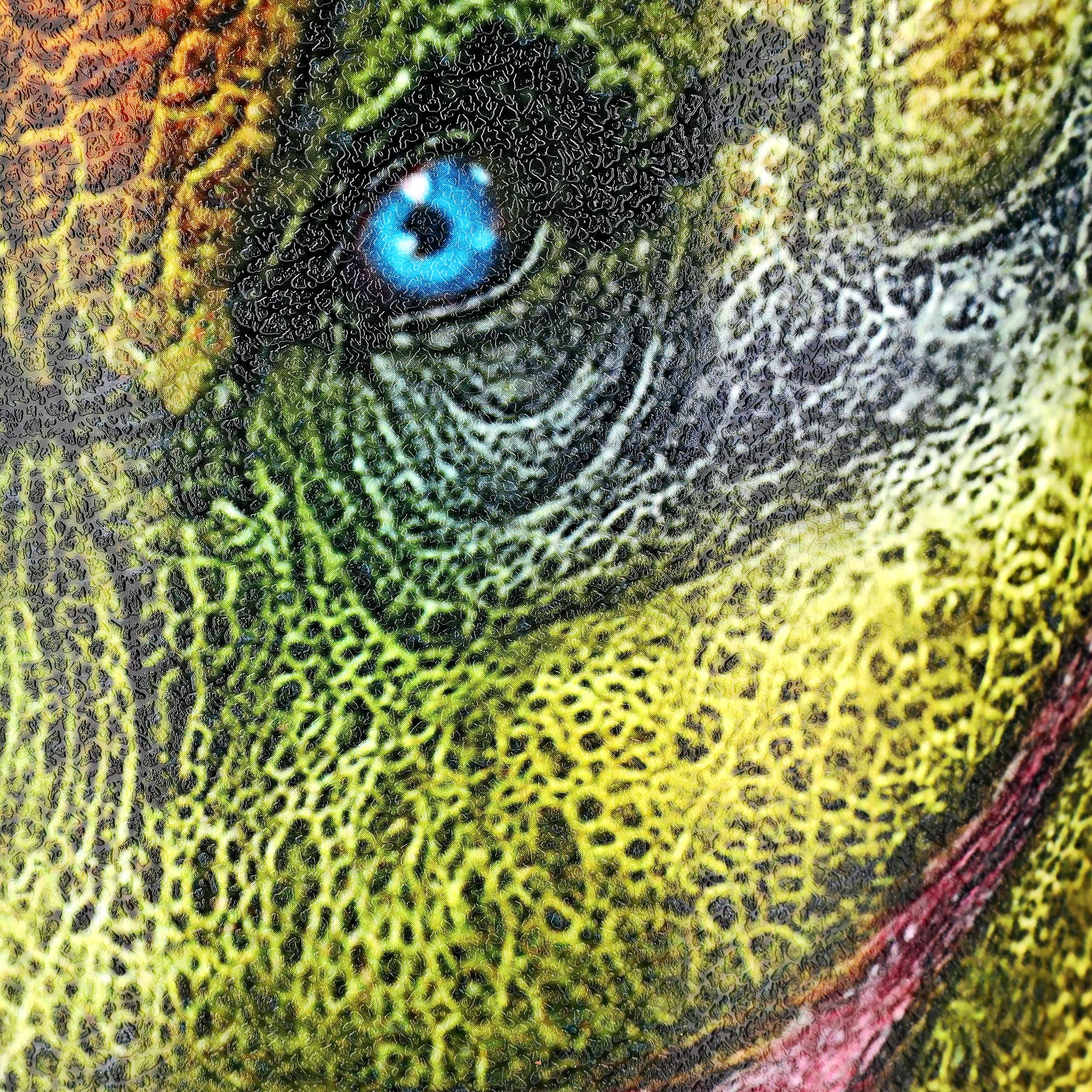 alles-meine.de GmbH Papierkorb/Mülleimer Modell wählbar 10 Liter - wasserdicht - 27 cm - aus Kunststoff Dinosaurier - Tyrannosaurus Rex Eimer - Spielzeugkorb/Popcorns..
