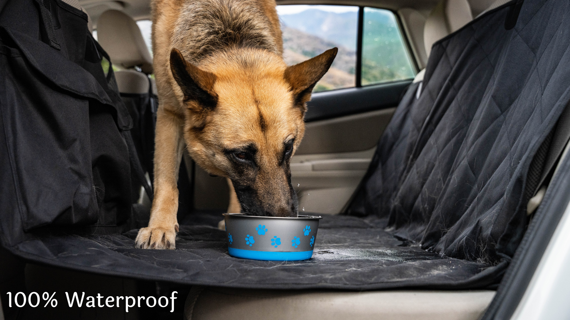APetsPlanet Dog Car Seat Cover for Back Seat Hard Bottom - Waterproof Backseat Extender for Dogs - Pet Hammock for Car, Truck, SUV - Protector Bed with Mesh Window & Storage - Black, No Door Covers - image 6