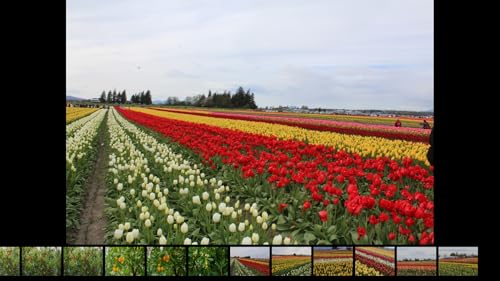 DG Image Viewer