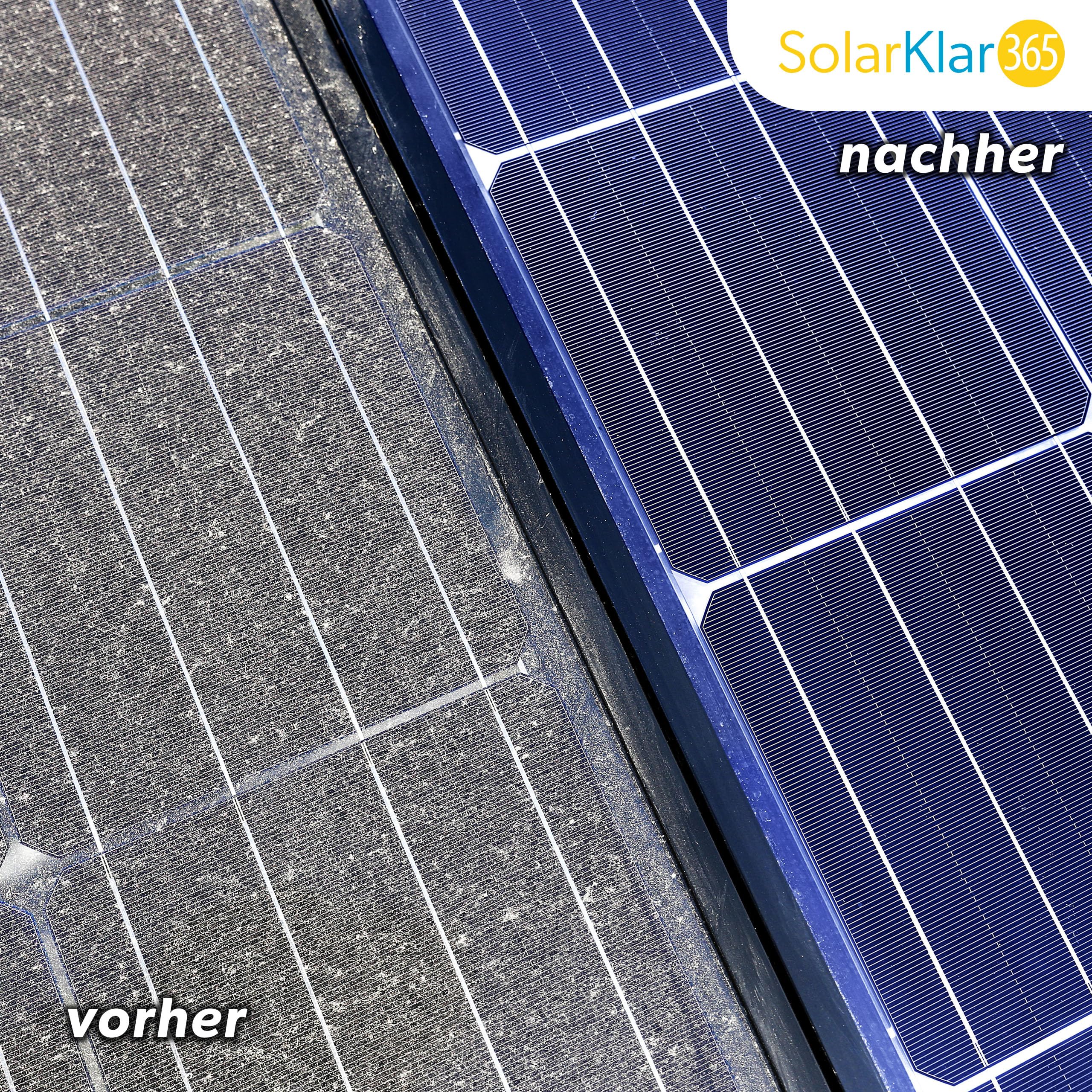 SolarKlar365 Photovoltaik- und Solaranlagen Reiniger | PV Anlage reinigen | Lotuseffekt langanhaltender Schutz, starke und materialschonende Reinigung 5 Liter + Teleskop-Waschbürste