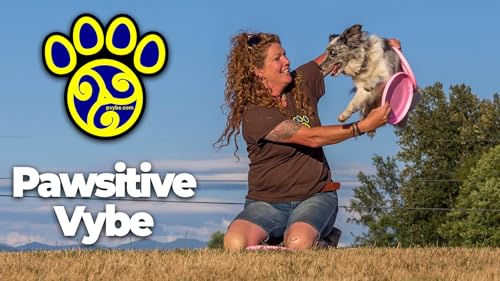 Pawsitive Vybe