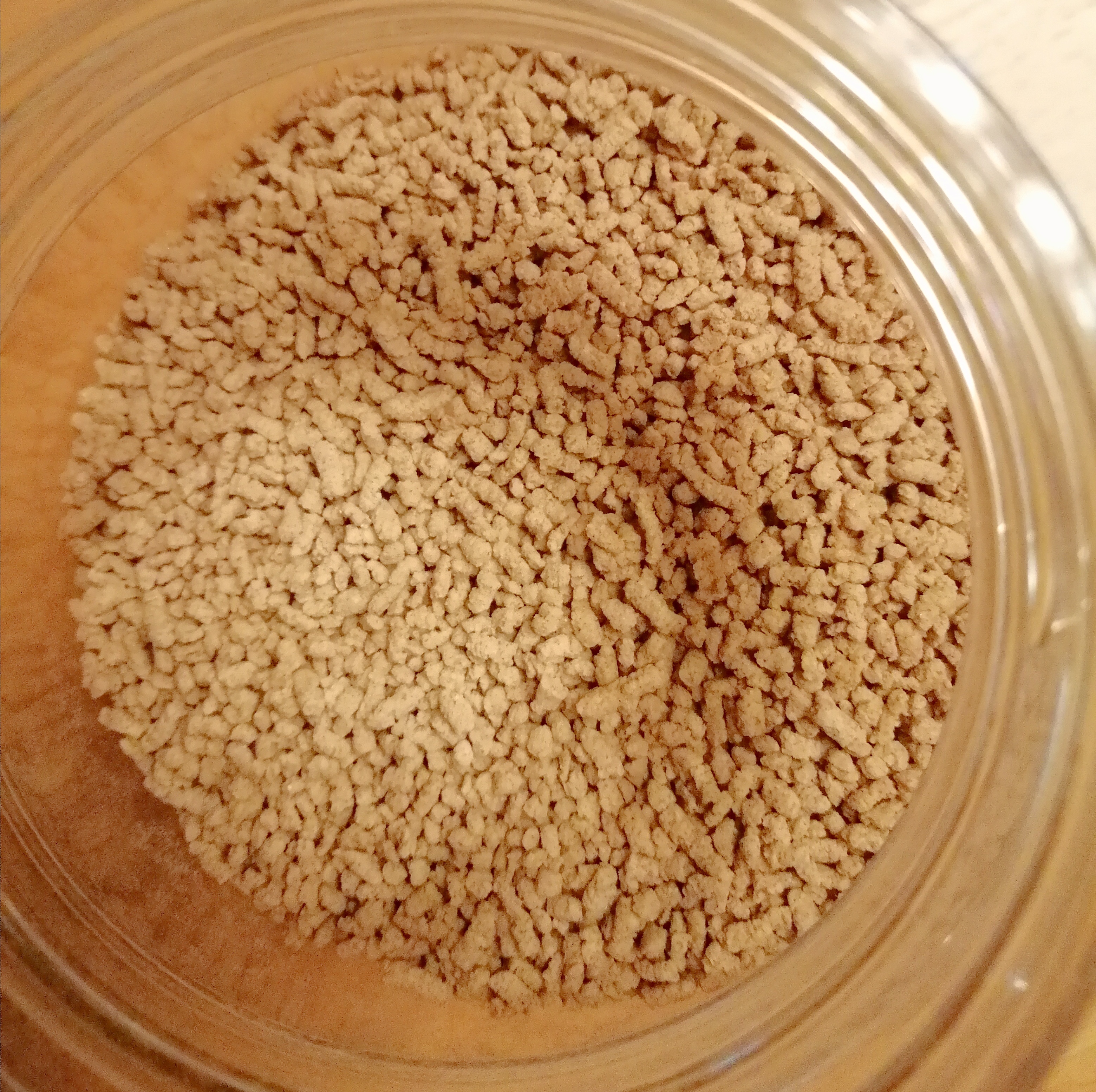 お客様イメージ