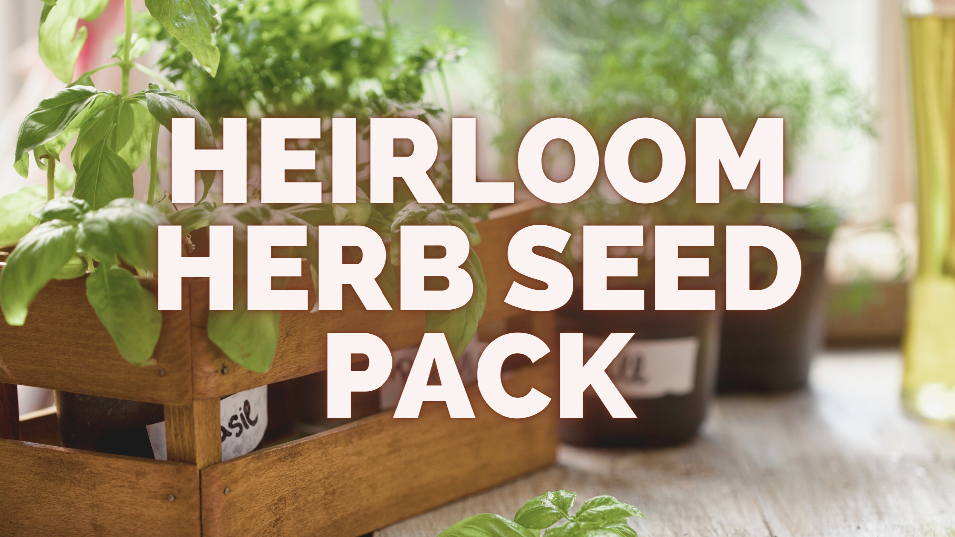 HOME GROWN Herb Seeds for Planting 15-Pack Massive Seed Count