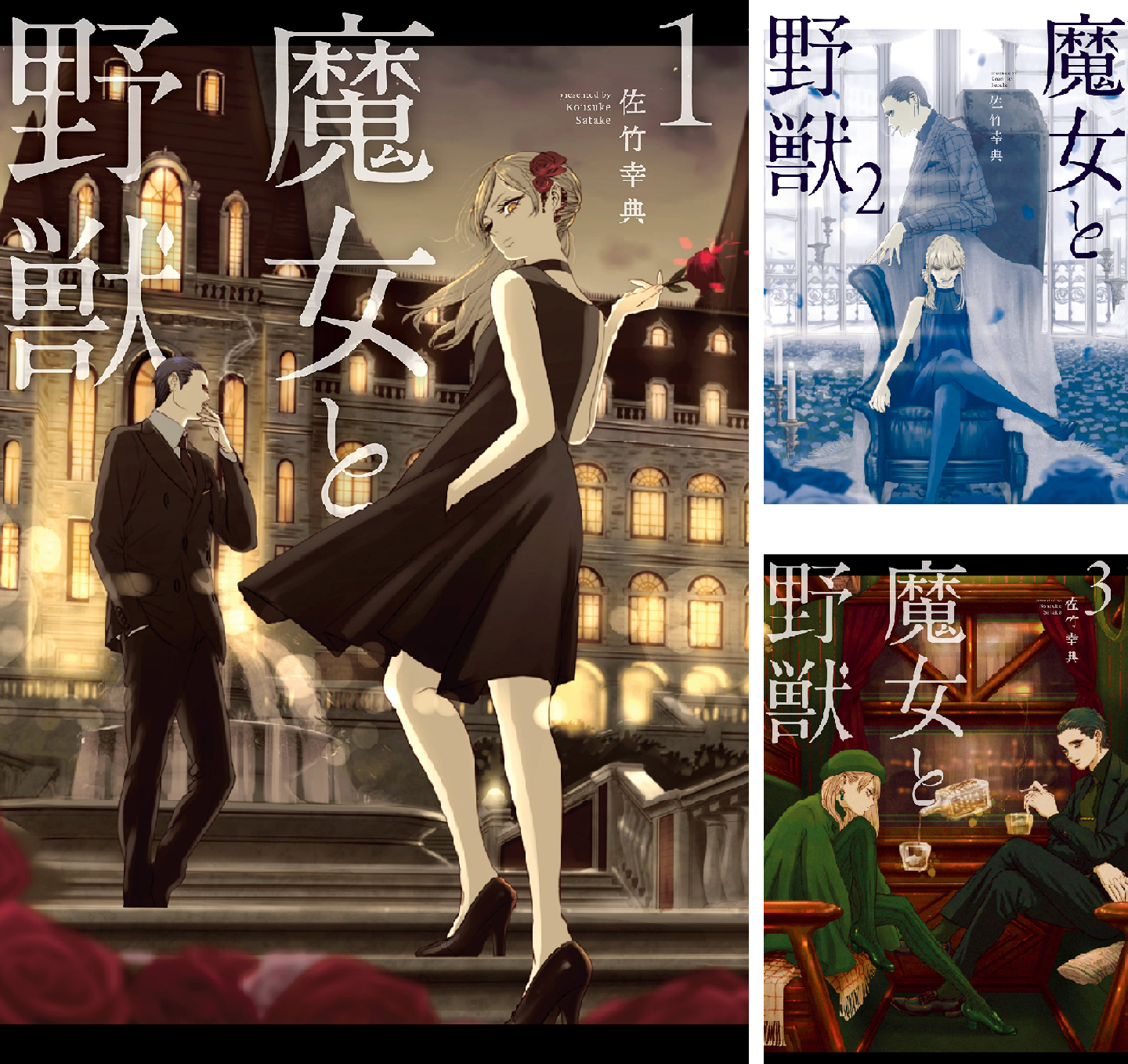 魔女と野獣 (全10巻) Kindle版