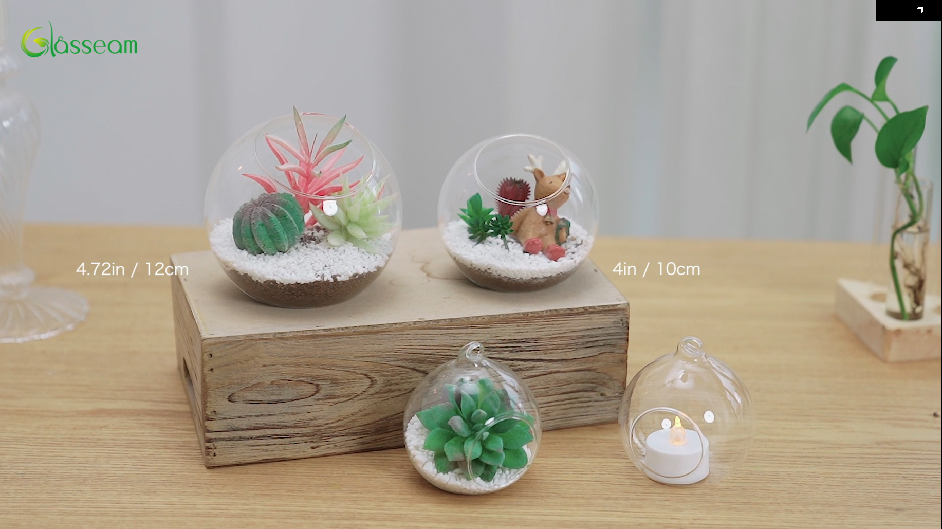 Confezione/appeso Semaforo vaso vetro borosilicato terrario Piante fiori sukkulente Container 9,3 * 12 cm/3,7 * 4,7 inch haengedeko hochze itdeko appendere e riempimento
