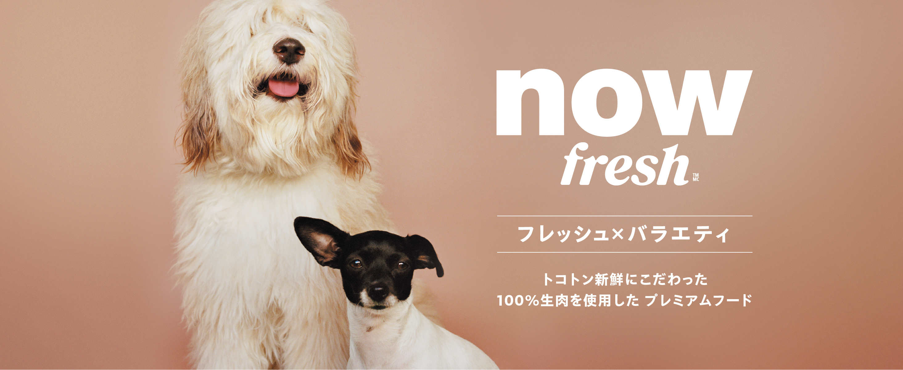 Amazon.co.jp: 【新鮮という品質をお届け】 ナウフレッシュ 超小粒