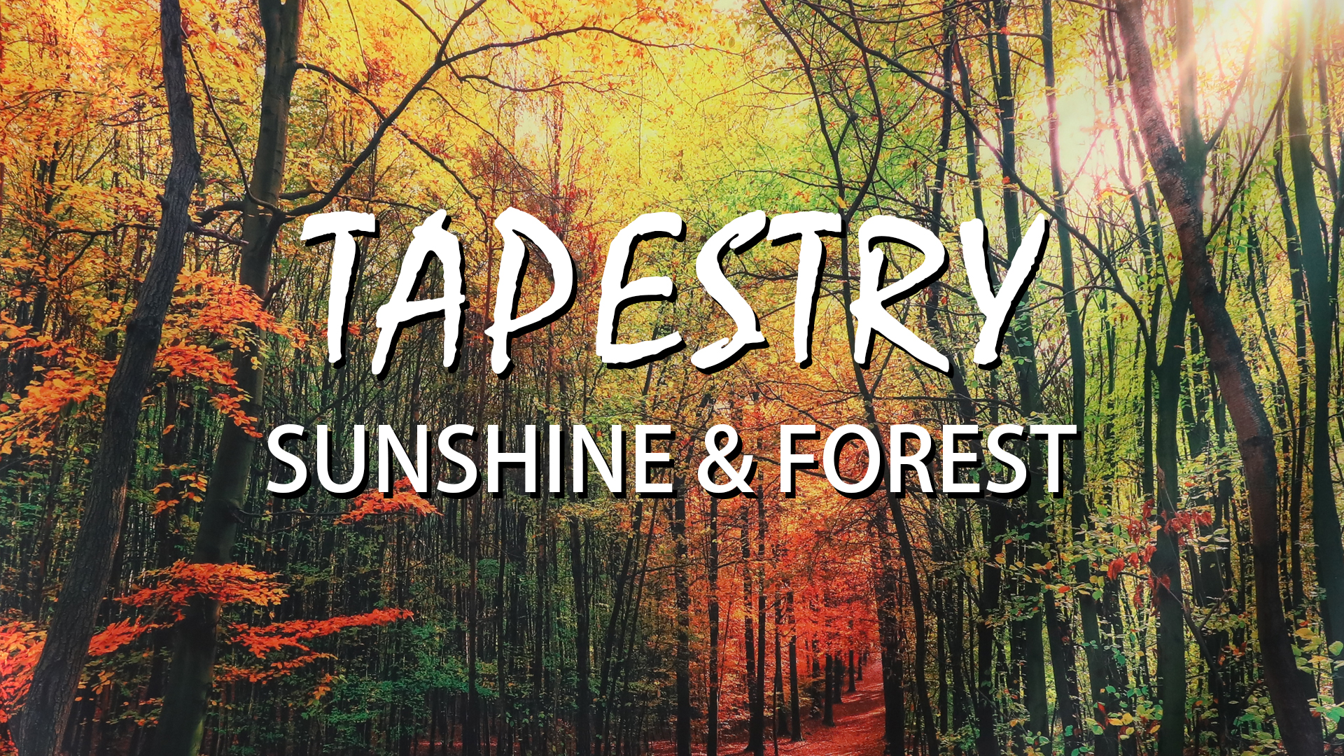 Mesnt Arazzo Mare Spiaggia, Tappezzerie In Poliestere Di Motivo Con Foglie Di Palma Al Tramonto Telo Da Parete Per Soggiorno Camera Da Letto, Arancione Marrone, 240x220CM