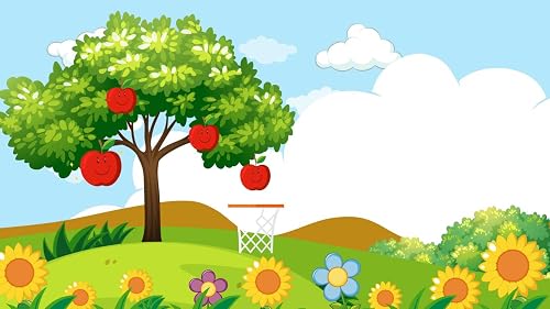 Hoops & Fruits – vue 4