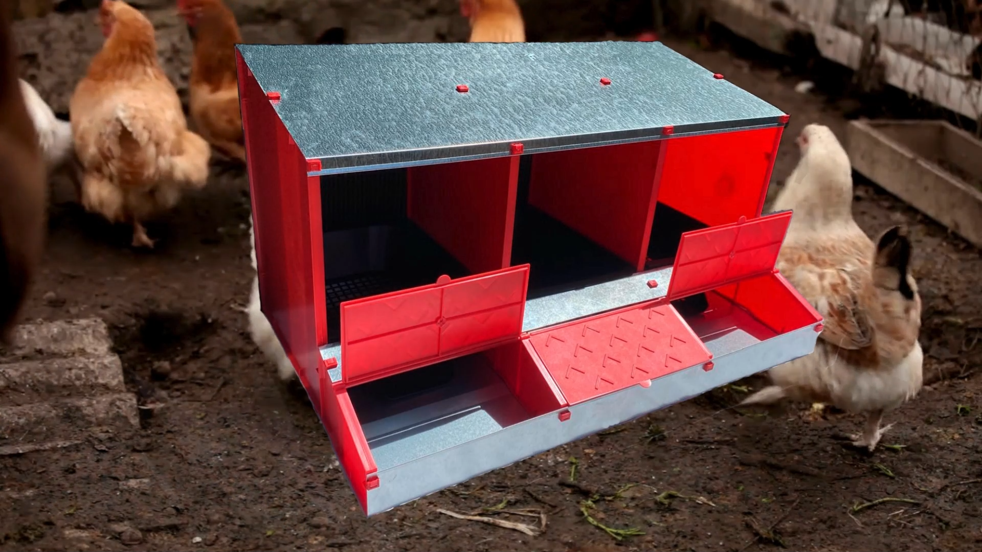 Pondoir De Poules 6 Compartiments Acier Galvanisé Nichoir Double Étage