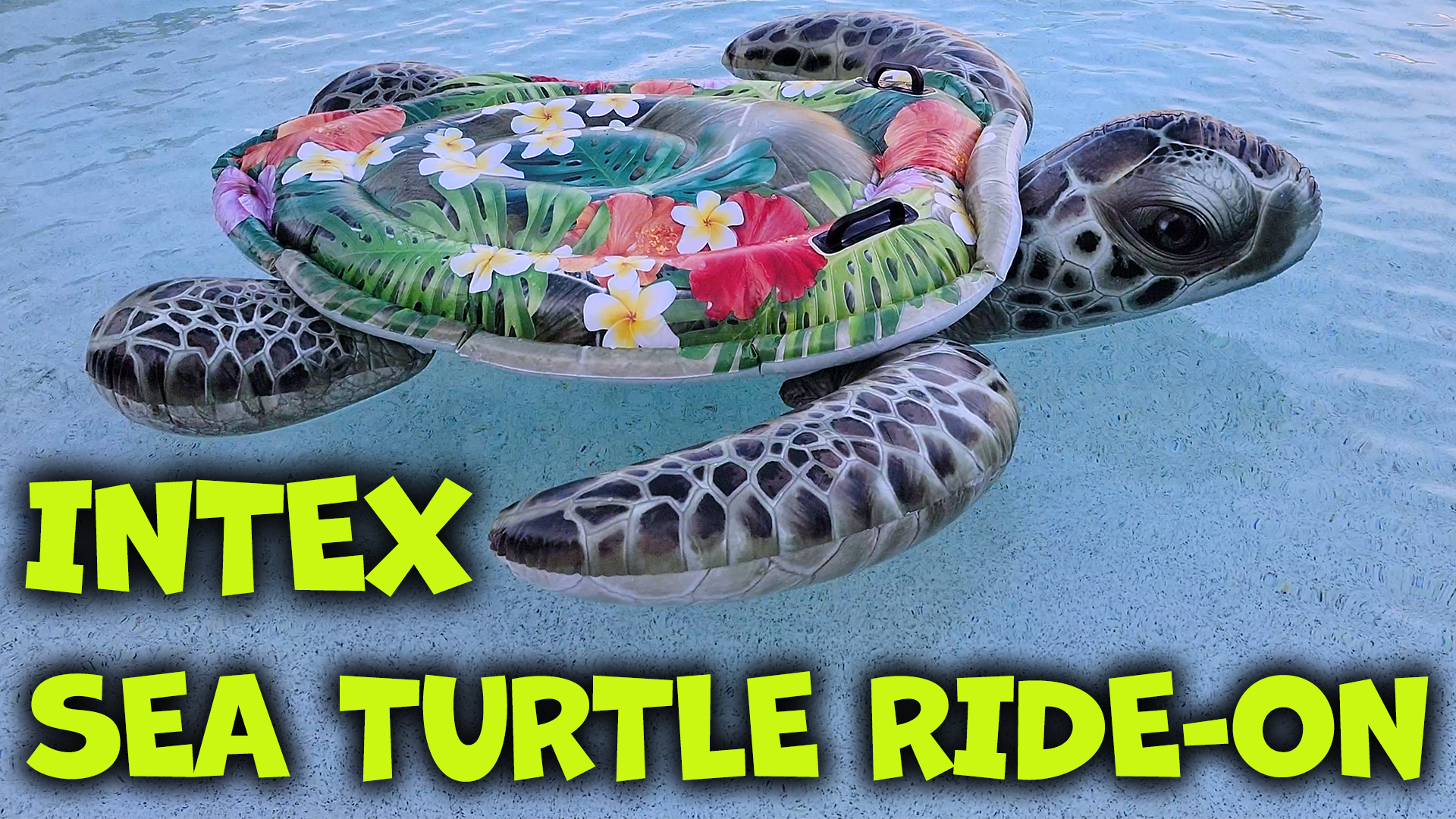 Turtle Inflatable Chair Watch INTEX Realistic Print Sea Turtle Inflatable Ride-On Review on ...