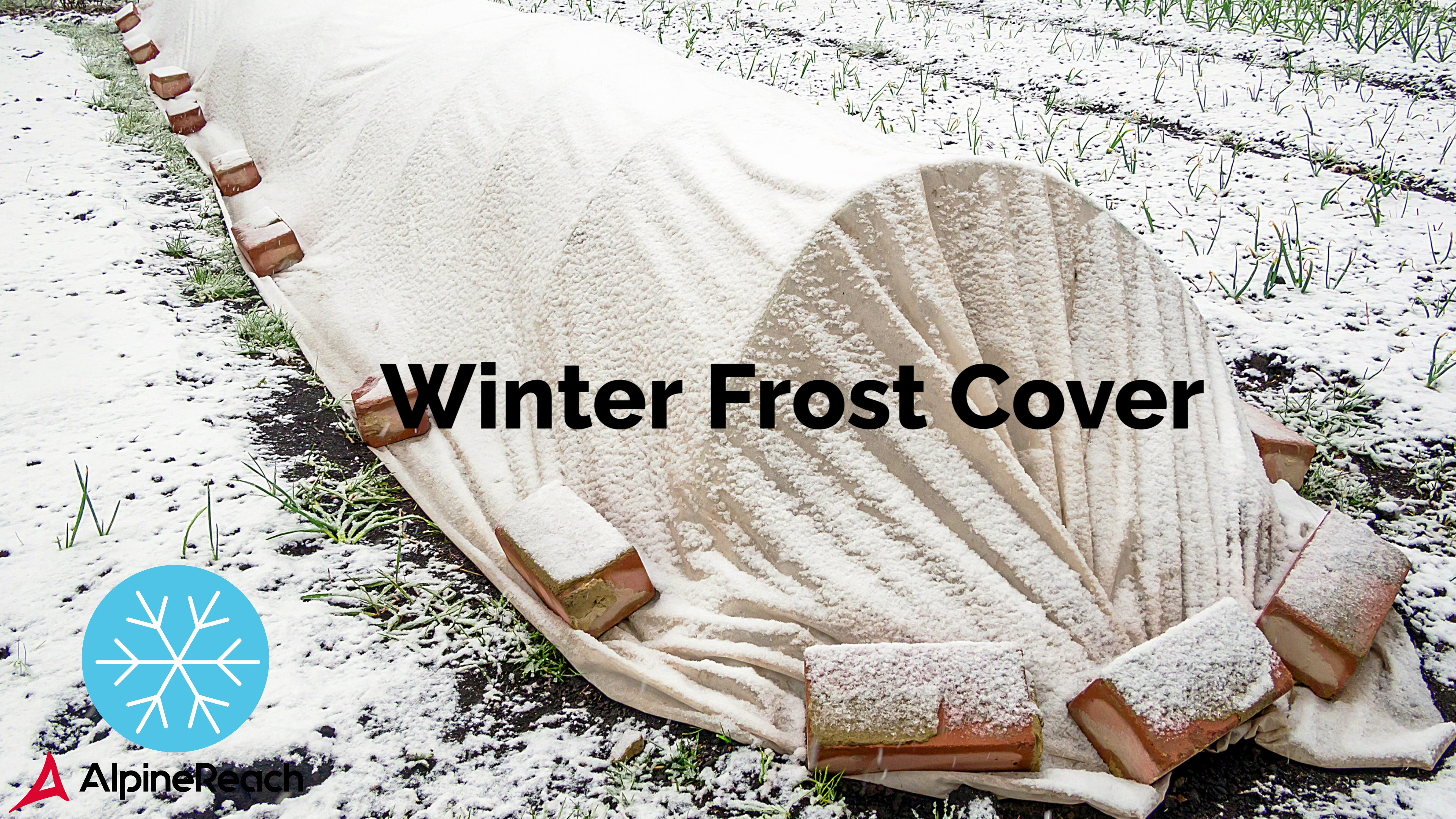 【Frost】コットンスリーブとグラス Amazon.com : AlpineReach Plant Covers Frost & Sun Protection 10 x