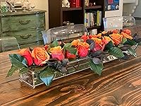 Review Image by Kristie K. Kristie K.