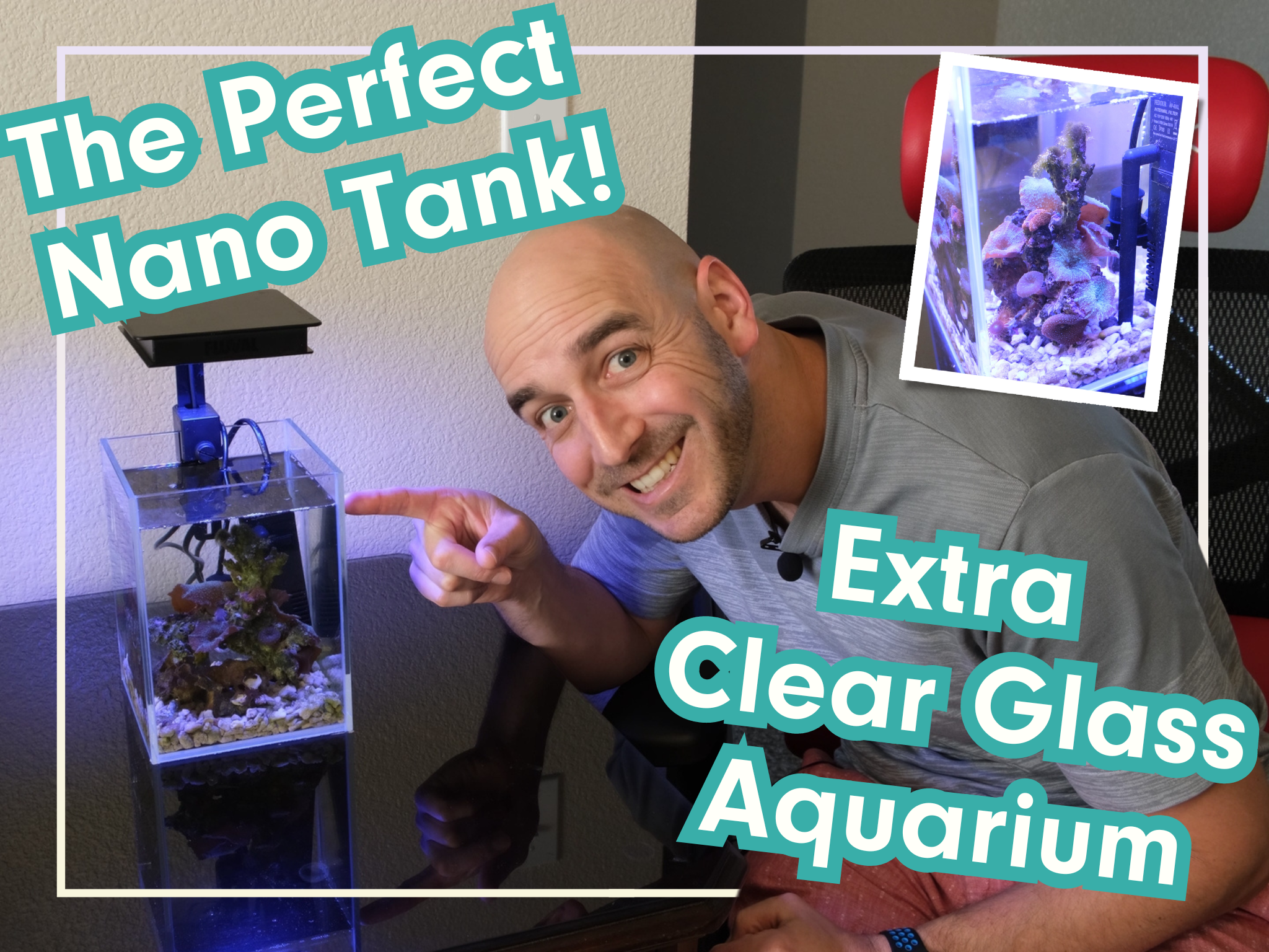Amazon.com: HIRO Aquatics: Aquariums & Tanks
