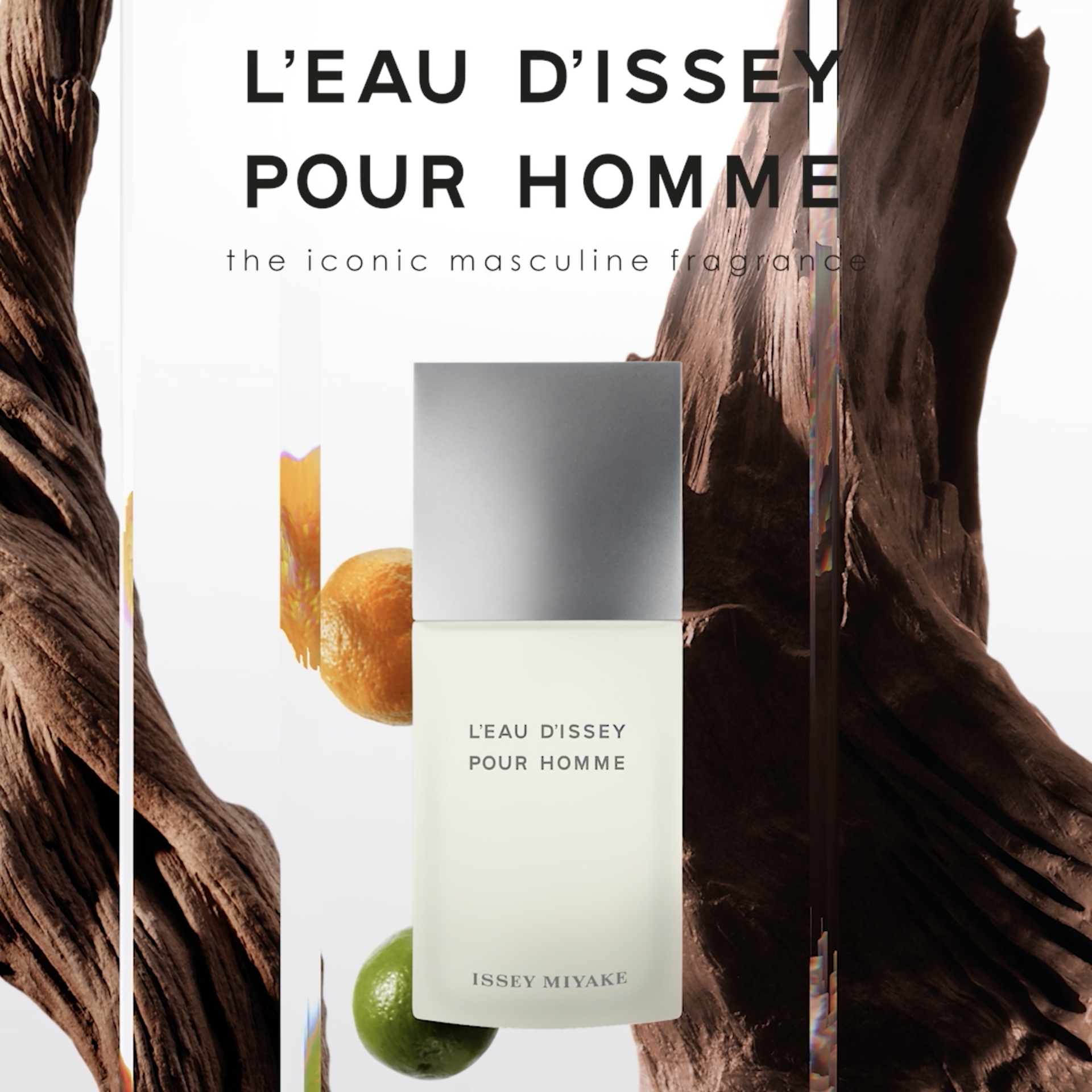 Amazon.com: Issey Miyake L'Eau d'Issey Pour Homme Eau de Toilette